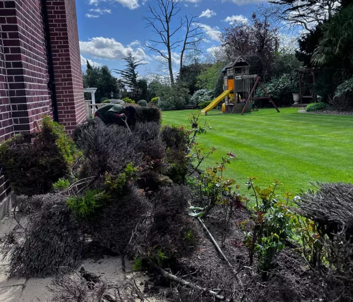 CSC CONSTRUCTION Planting