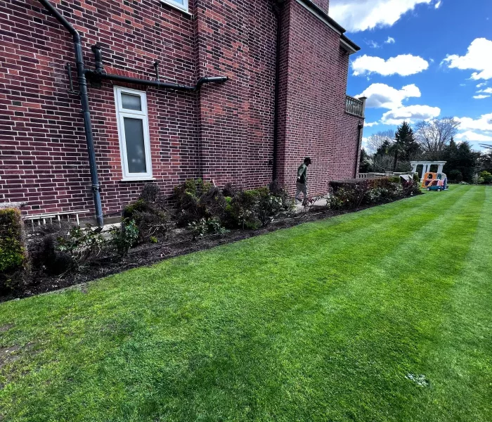 CSC CONSTRUCTION Planting