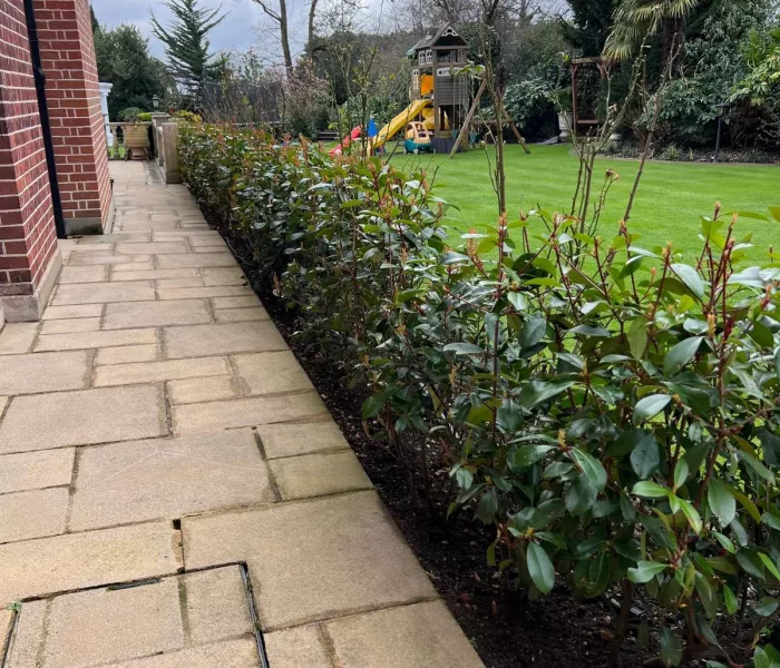 CSC CONSTRUCTION Planting