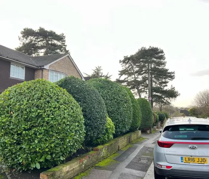 CSC CONSTRUCTION Hedging