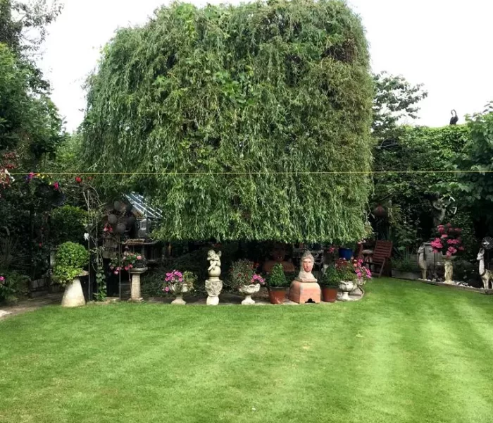 CSC CONSTRUCTION Hedging