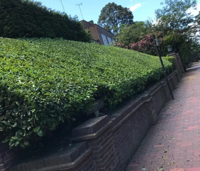 CSC CONSTRUCTION Hedging