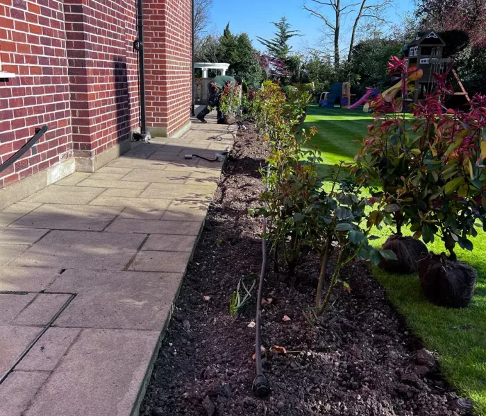 CSC CONSTRUCTION Planting