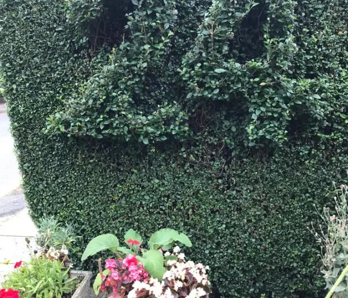 CSC CONSTRUCTION Hedging